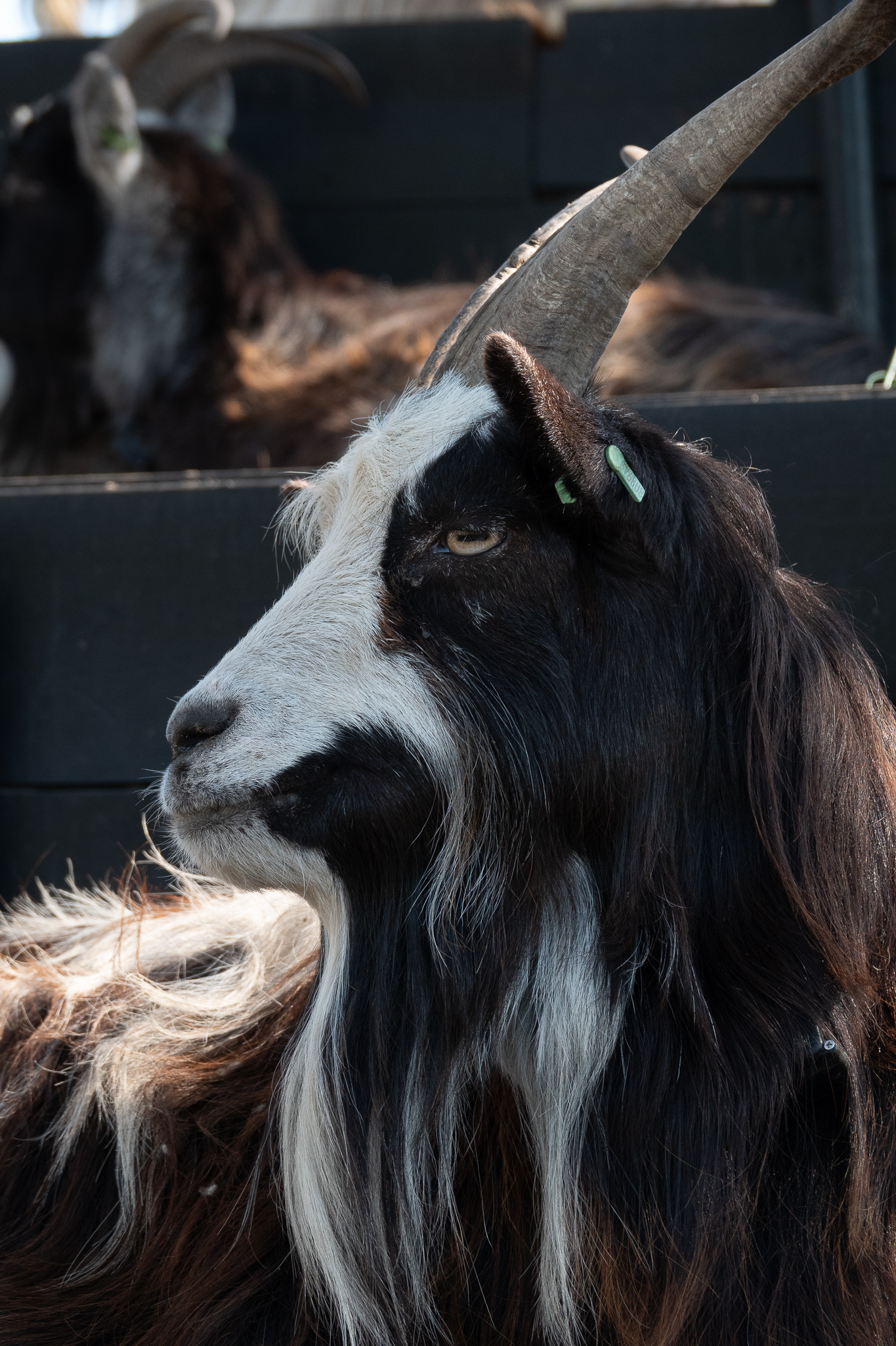 20260321   Fototrip Maart   Naarden vesting   048